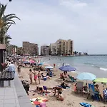 Terezia تورّيفيِخا